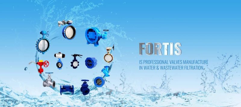 Fortis Valves