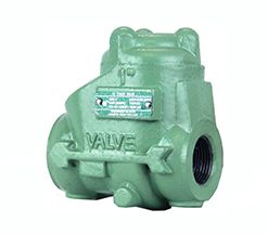 Van kiểm tra xoay bằng gang dẻo 4E Valve 2000PSI (DICV)